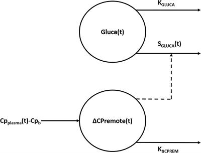 Mathematical Model of Glucagon Kinetics for the Assessment of Insulin-Mediated Glucagon Inhibition During an Oral Glucose Tolerance Test